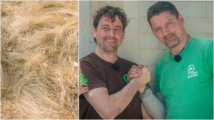 Nova zahrada - vysuseny travnik